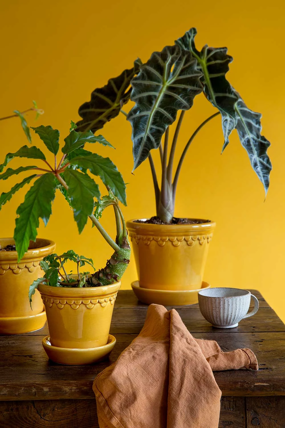 Bergs Potter Copenhagen Topf Mit Unterteller Gelb, Ă14 Cm â Bild 6