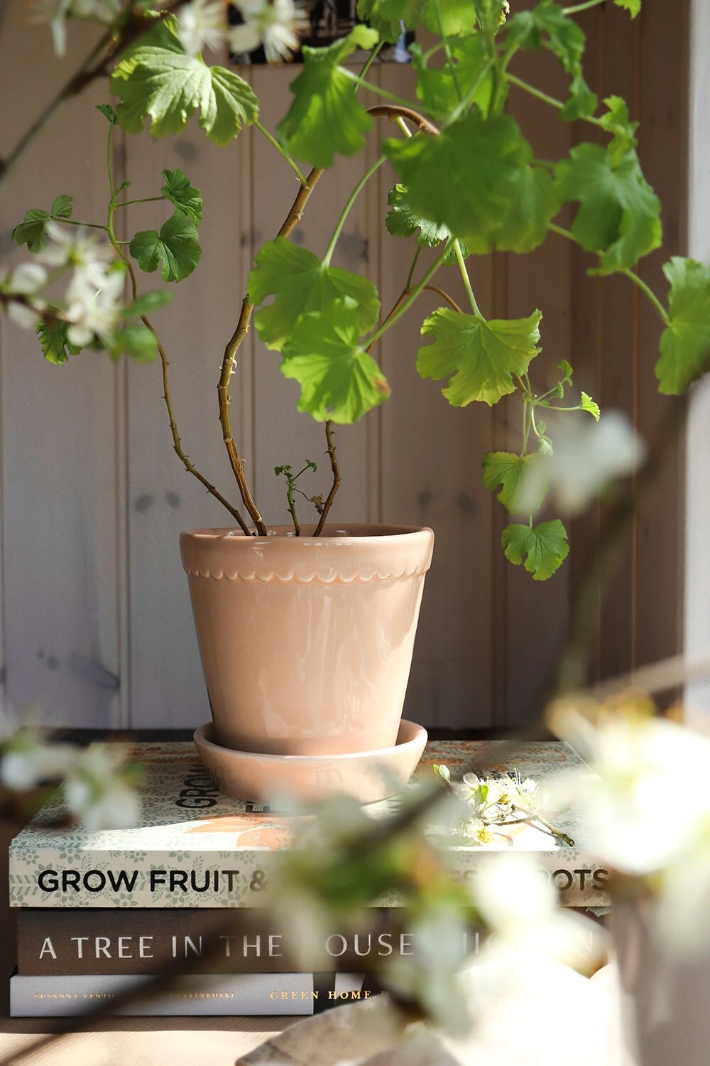 Bergs Potter Helena Topf Quartz Rose, 18 Cm â Bild 5