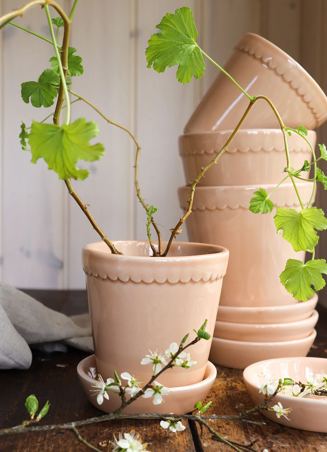 Bergs Potter Helena Topf Quartz Rose, 18 Cm â Bild 6