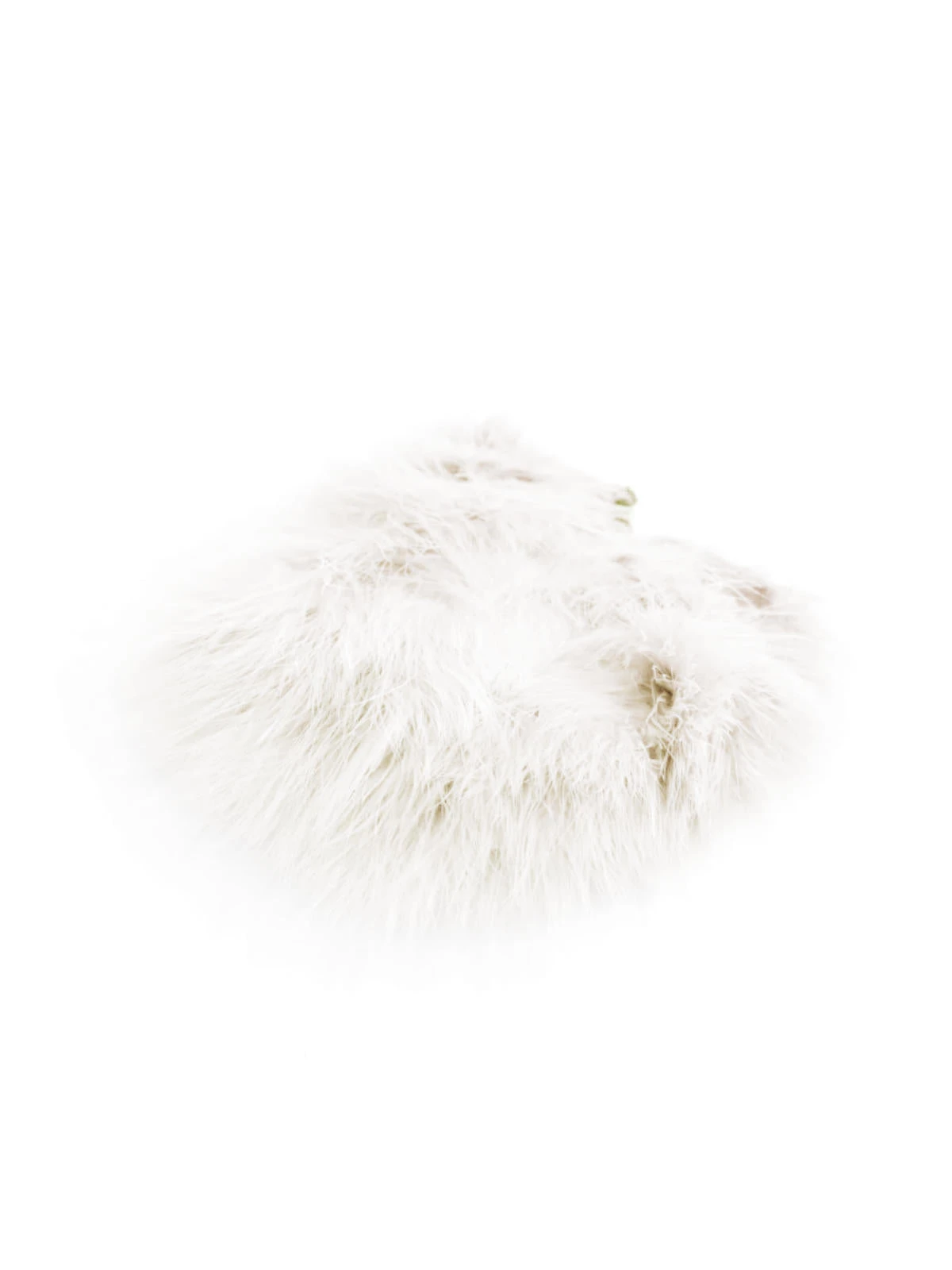 Whiting Super Bou 18 Whiting Super Bou – Bild 18