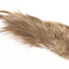 Whiting Bird Fur